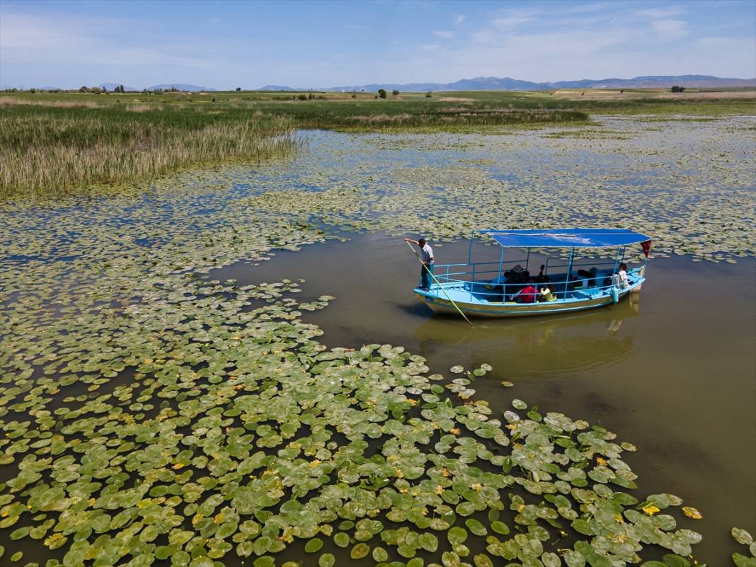 Konya’da beklenen an! Doğanın sessiz mucizesi göz kamaştırmaya başladı 7